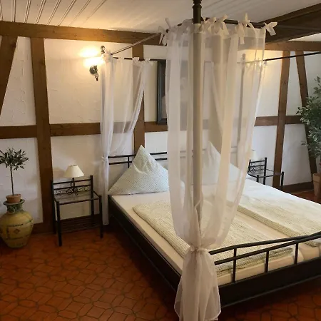 Risto. Cavallino * Wertheim